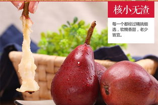 陕西精品红啤梨5斤 新鲜水果 应季水果 当季红皮梨批发 现摘现发