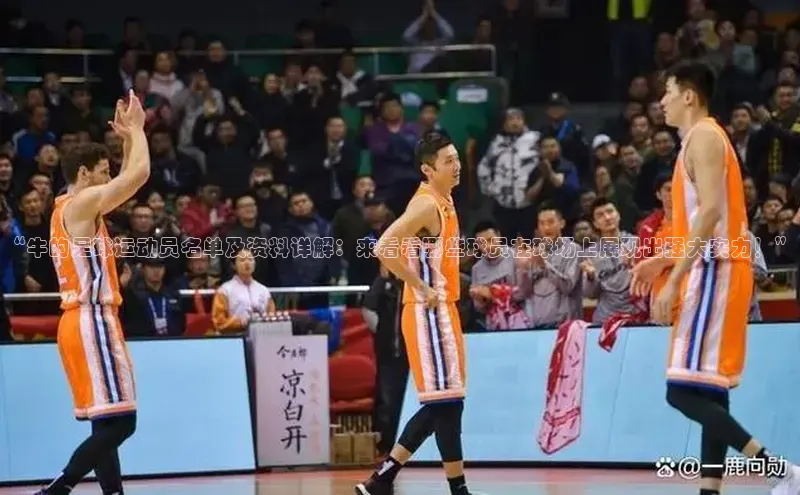 谈球吧体育官网入口ARGA公司“牛的足球运动员名单及资料详解：来看看哪些球员在球场上展现出强大实力！”
