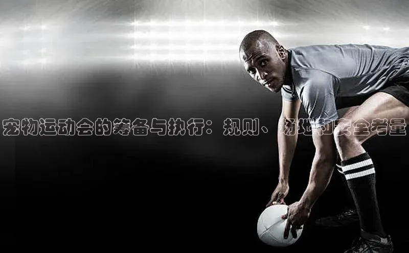 谈球吧网页版在线入口